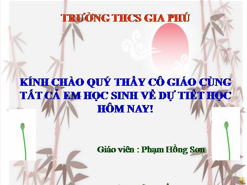 Bài 18. Nước Mĩ giữa hai cuộc chiến tranh thế giới (1918 - 1939)