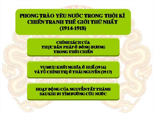 Bài 30. Phong trào yêu nước chống Pháp từ đầu thế kỉ XX đến năm 1918