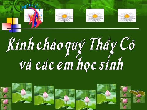 Bài 11. Các nước Đông Nam Á cuối thế kỉ XIX - đầu thê kỉ XX