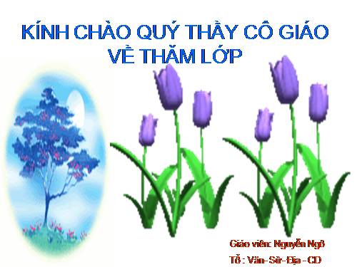 Bài 11. Các nước Đông Nam Á cuối thế kỉ XIX - đầu thê kỉ XX