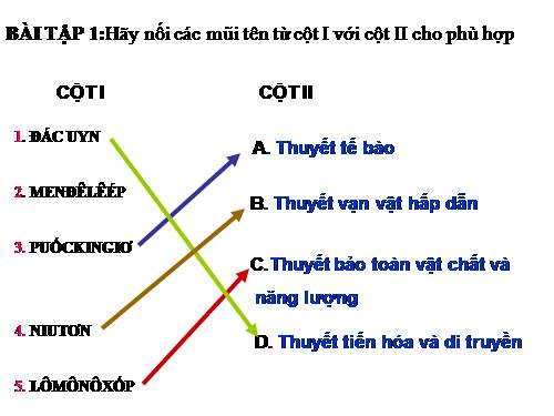 Bài 9. Ấn Độ thế kỉ XVIII - đầu thế kỉ XX