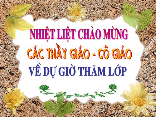 Bài 30. Phong trào yêu nước chống Pháp từ đầu thế kỉ XX đến năm 1918