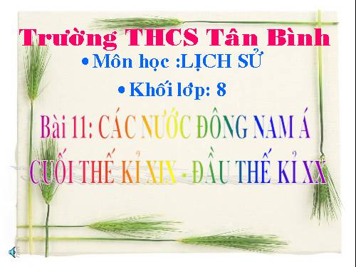 Bài 11. Các nước Đông Nam Á cuối thế kỉ XIX - đầu thê kỉ XX