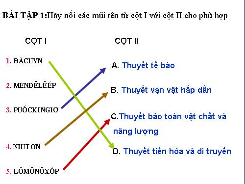 Bài 9. Ấn Độ thế kỉ XVIII - đầu thế kỉ XX