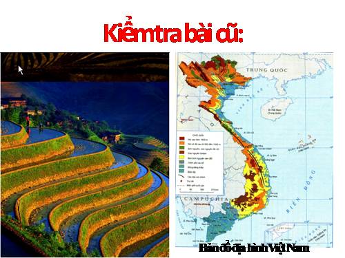 Bài 29. Đặc điểm các khu vực địa hình