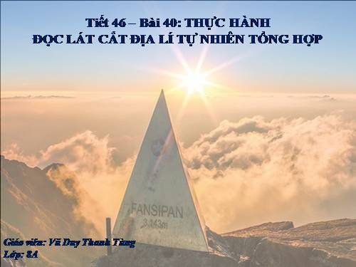 Bài 40. Thực hành: Đọc lát cắt địa lí tự nhiên tổng hợp