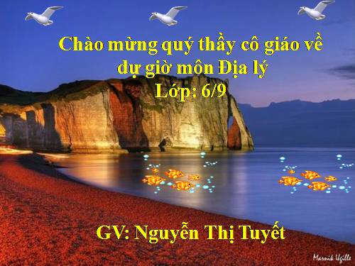 CHUYÊN ĐỀ:ĐỊA HÌNH BỀ MẶT TRÁI ĐẤT