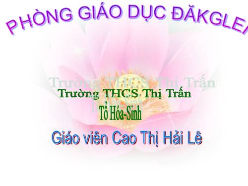 Bài 22. Việt Nam - Đất nước, con người.