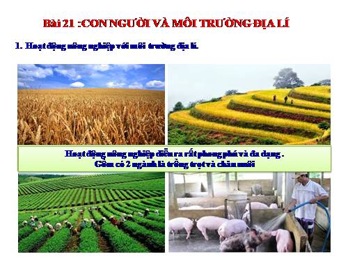 Bài 21. Con người và môi trường địa lí