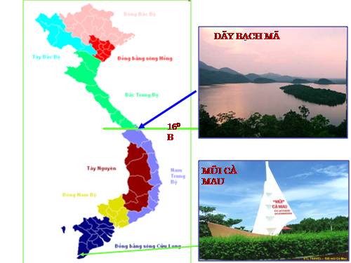 Bài 43. Miền Nam Trung Bộ và Nam Bộ