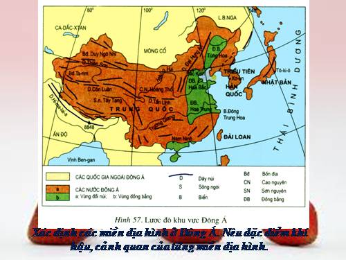 Bài 13. Tình hình phát triển kinh tế - xã hội khu vực Đông Á