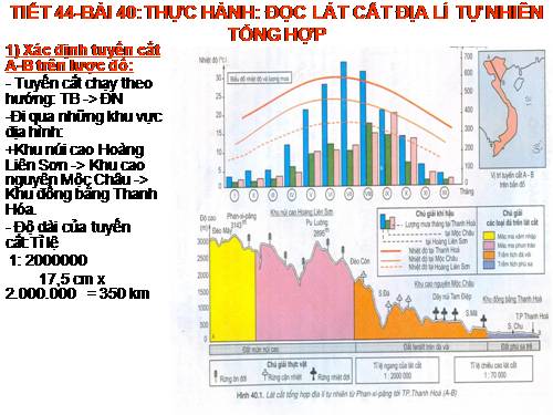 Bài 40. Thực hành: Đọc lát cắt địa lí tự nhiên tổng hợp