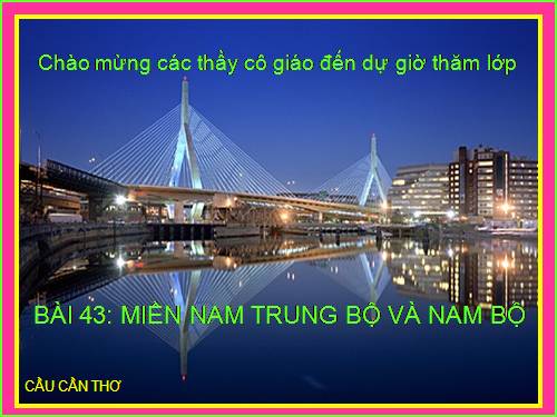 Bài 43. Miền Nam Trung Bộ và Nam Bộ