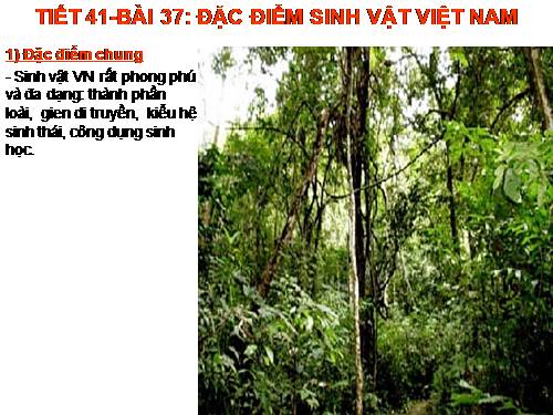 Bài 37. Đặc điểm sinh vật Việt Nam