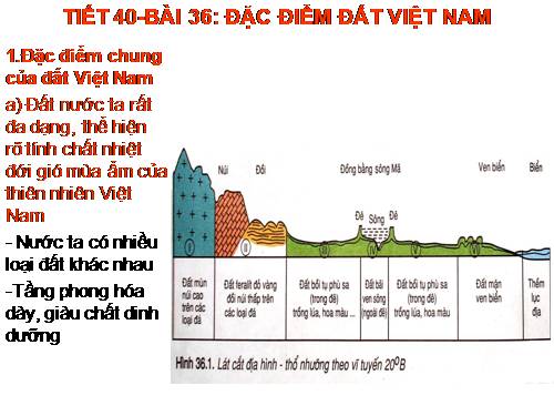 Bài 36. Đặc điểm đất Việt Nam