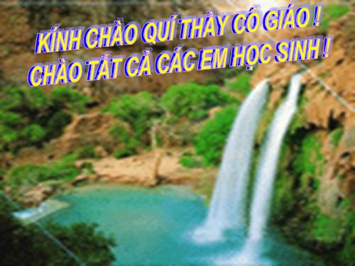 Ôn tập HKI