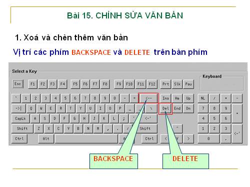 Tin học 6. Bài 15