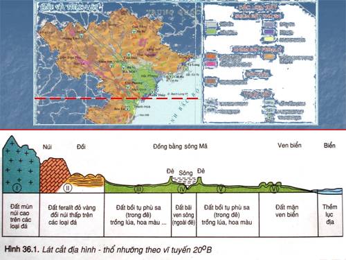 Bài 36. Đặc điểm đất Việt Nam