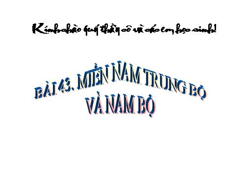 Bài 43. Miền Nam Trung Bộ và Nam Bộ