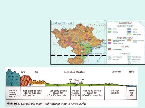 Bài 36. Đặc điểm đất Việt Nam