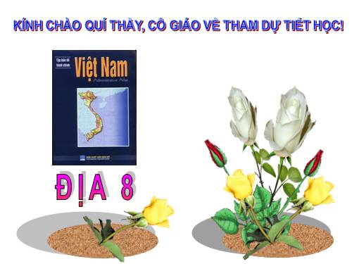 Bài 23. Vị trí, giới hạn, hình dạng lãnh thổ Việt Nam