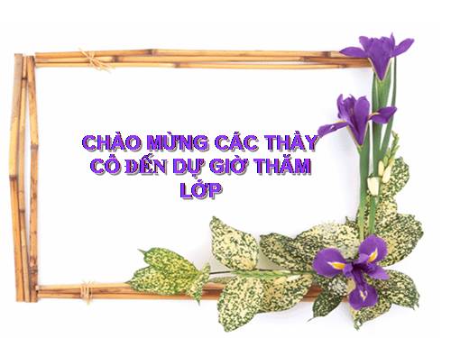 Bài 9. Khu vực Tây Nam Á