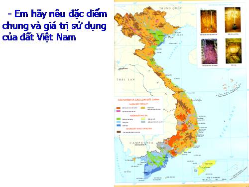 Bài 37. Đặc điểm sinh vật Việt Nam