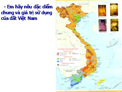 Sinh vật Việt Nam