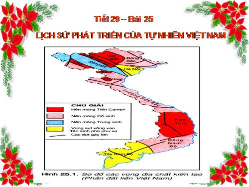 Bài 25. Lịch sử phát triển của tự nhiên Việt Nam