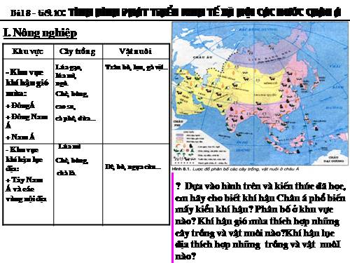 Bài 8. Tình hình phát triển kinh tế - xã hội ở các nước châu Á