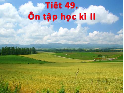 TIET_49_ON_TAP_HOC_KI_II_HOA_BUOI