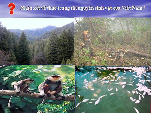 Bài 38. Bảo vệ tài nguyên sinh vật Việt Nam