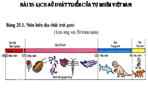 Bài 25. Lịch sử phát triển của tự nhiên Việt Nam