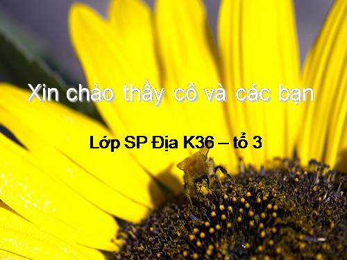 Bài 9. Khu vực Tây Nam Á