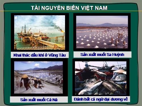 Tiết 27: Vùng Biển Việt Nam