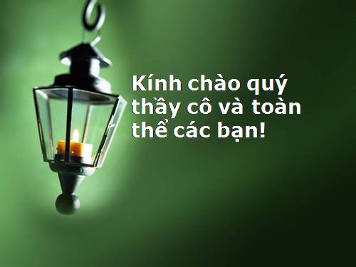 Bài 40. Thực hành: Đọc lát cắt địa lí tự nhiên tổng hợp