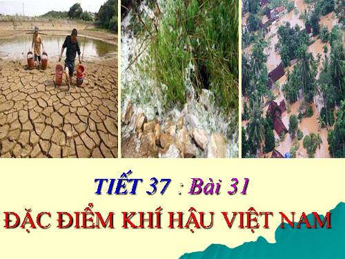 Bài 31. Đặc điểm khí hậu Việt Nam