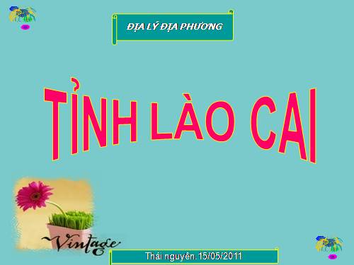 Bài 44. Thực hành: Tìm hiểu địa phương