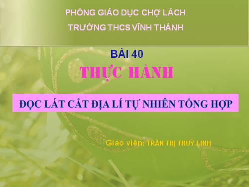 Bài 40. Thực hành: Đọc lát cắt địa lí tự nhiên tổng hợp