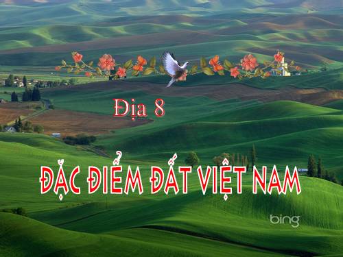 Bài 36. Đặc điểm đất Việt Nam