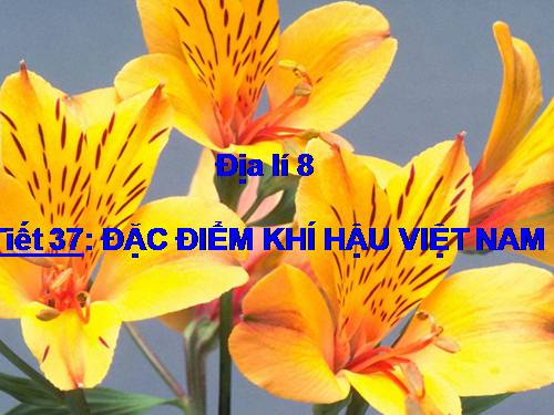 Bài 31. Đặc điểm khí hậu Việt Nam