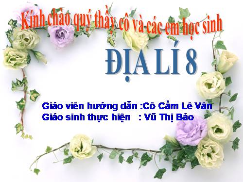 Bài 27. Thực hành: Đọc bản đồ Việt Nam