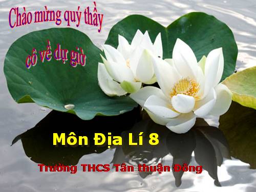 Bài 12. Đặc điểm tự nhiên khu vực Đông Á