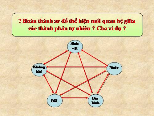 Bài 25. Lịch sử phát triển của tự nhiên Việt Nam