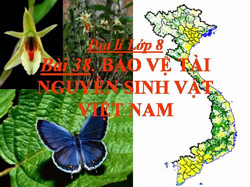 Bài 38. Bảo vệ tài nguyên sinh vật Việt Nam