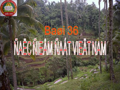 Bài 36. Đặc điểm đất Việt Nam