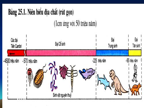 Bài 25. Lịch sử phát triển của tự nhiên Việt Nam