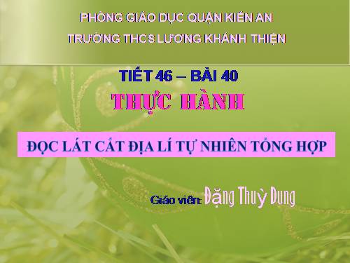 Bài 40. Thực hành: Đọc lát cắt địa lí tự nhiên tổng hợp