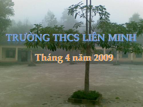 Bài 40. Thực hành: Đọc lát cắt địa lí tự nhiên tổng hợp