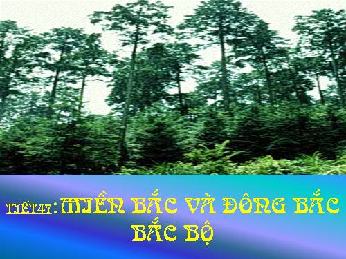 Bài 41. Miền Bắc và Đông Bắc Bắc Bộ